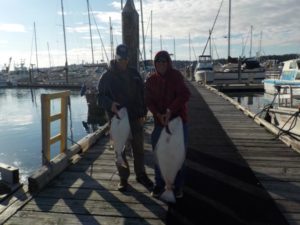 Halibut Fishing Port McNeill